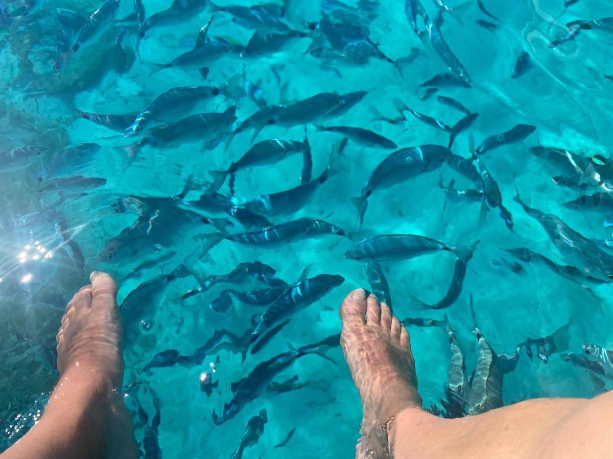 Hotel Villa Del Parco La Maddalena  Dış mekan fotoğraf